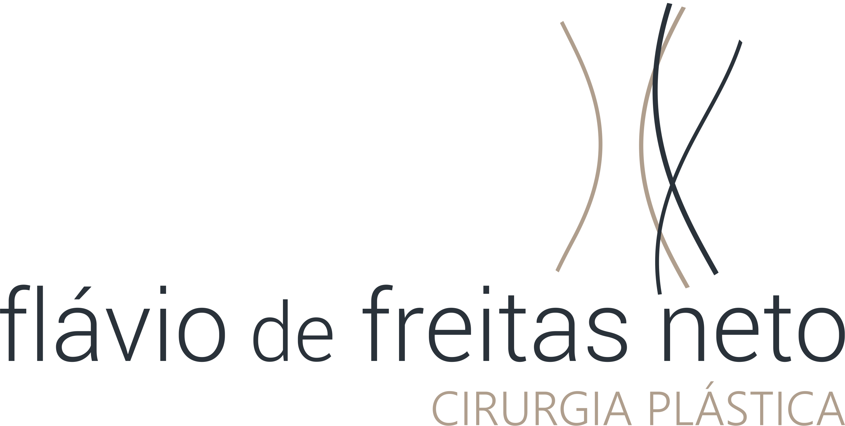 Flávio de Freitas Neto